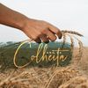 Programa A Colheita Web Rádio