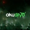 okudiyo.com