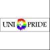 Radio Uni Pride Viterbo