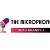 Who's Behind The Mic Studio