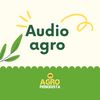 AGP Audio