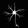 Neurona 6.6
