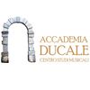 Accademia Ducale