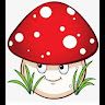 big mushrooms