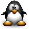 P'tit Pingouin
