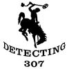 Detecting 307