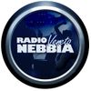 Radio Veneto Nebbia