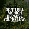 Zombie Bush