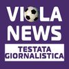 Violanews.com