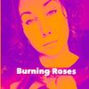 Burning Roses3