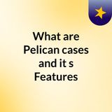 What are Pelican cases and it's Features
