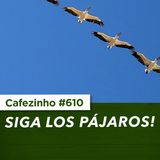 Cafezinho 610 - Siga los pájaros!