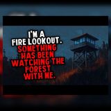 The Watchtower Had One Rule: Never Look Into the Trees | Creepypasta Stories