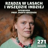 #271 Grzyby – trują, leczą, odurzają, smakują i są wszędzie | prof. Marta Wrzosek