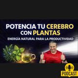 PLANTAS MEDICINALES para POTENCIAR tu PRODUCTIVIDAD