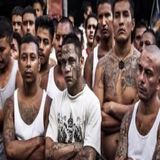 Latino Gangs In New Orleans & Surrounding Areas (Nola's Notorious)