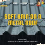 Soft Rain Sounds on a metal roof