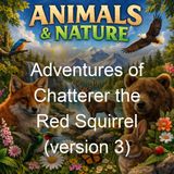Adventures of Chatterer the Red Squirrel version 3 - Thornton W Burgess