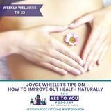 How To Improve Gut Health Naturally with Joyce Wheeler | Weekly Wellness Tip #23