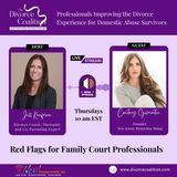 Red Flags for Family Court Professionals