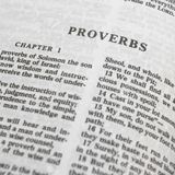 Proverbs 3 Interpretations