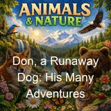 Don a Runaway Dog His Many Adventures - Richard Barnum