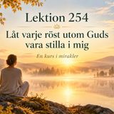 193 Guidad meditation – 254 Låt varje röst utom Guds vara stilla i mig, En Kurs i Mirakler