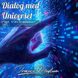 Dialog med Universet EP065 - Hvordan får vi det bedste ud af simulationen?