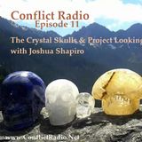 Episode 11  The Crystal Skulls & Project Looking Glass with Joshua Shapiro