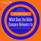 What Does the Bible Compare Believers to | Lakeisha McKnight