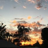 Freedom vs. Control #30