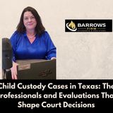 Child Custody Cases in Texas: The Professionals and Evaluations That Shape Court Decisions
