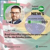 Exportações de algodão batem recorde em junho