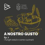 Ep. 7 - I funghi eduli e come cucinarli