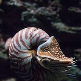 The new minecraft update is crazy😜🤪😛