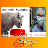 Feline Fatties - Dr Anne Quain