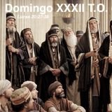 Domingo XXXII T.O. Mártires de la persecución religiosa en España. Día de la Iglesia diocesana