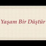 Yaşam Bir Düştür  Çin Öyküsü sesli kitap Akın ALTAN