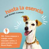 Cómo empezar a trabajar como educador canino | 5 pasos prácticos