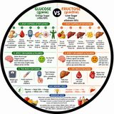 EP-268 |Not All Sugar Is the Same!  |🚨 সব চিনি এক নয়! | GLUCOSE vs FRUCTOSE  শক্তি নাকি চর্বি? জানুন আসল পার্থক্য |