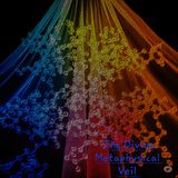 Our Metaphysical Veil