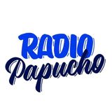 Rock In San Luis # 54 - Radio Papucho I