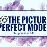 The Picture Perfect Model