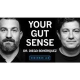 The Science of Your Gut Sense & the Gut-Brain Axis _ Dr. Diego Bohórquez
