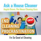 End Cleaning Procrastination - I Love to Clean and I'm So Good At It!