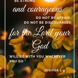 RALF FRIEDRICHS PODCAST