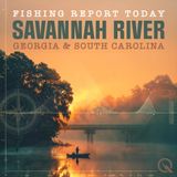 Strong Tides, Fall Fish Galore: Savannah River Fishing Report for October 23, 2025