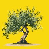 Filippo Pistoia "Terra colta"