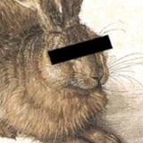 Feindbilder - Die Probanden-Tagebücher #6 - von Miriam Sachs