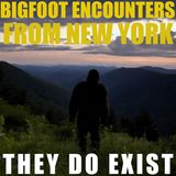 ANOTHER BIGFOOT ENCOUNTER FROM NEW YORK STATE | THESE THINGS COULD BE ANYWHERE (THE PARANORMAL)